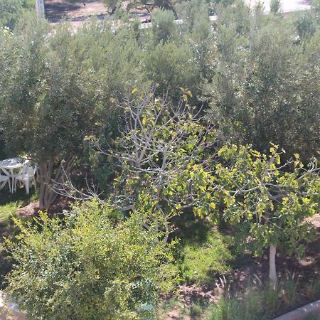 Les Jardins Fleuris Bed and Breakfast Esauira Exterior foto