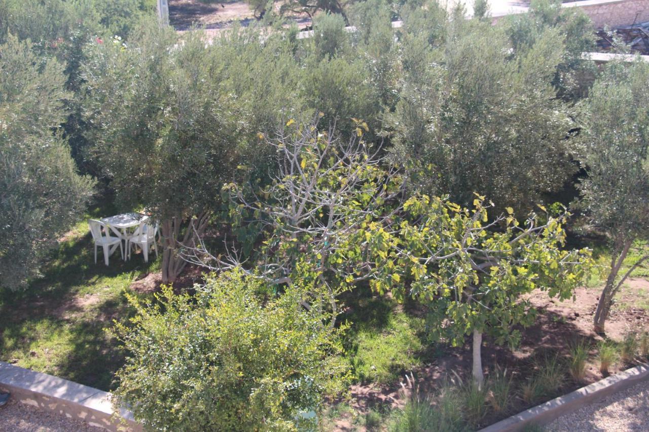 Les Jardins Fleuris Bed and Breakfast Esauira Exterior foto